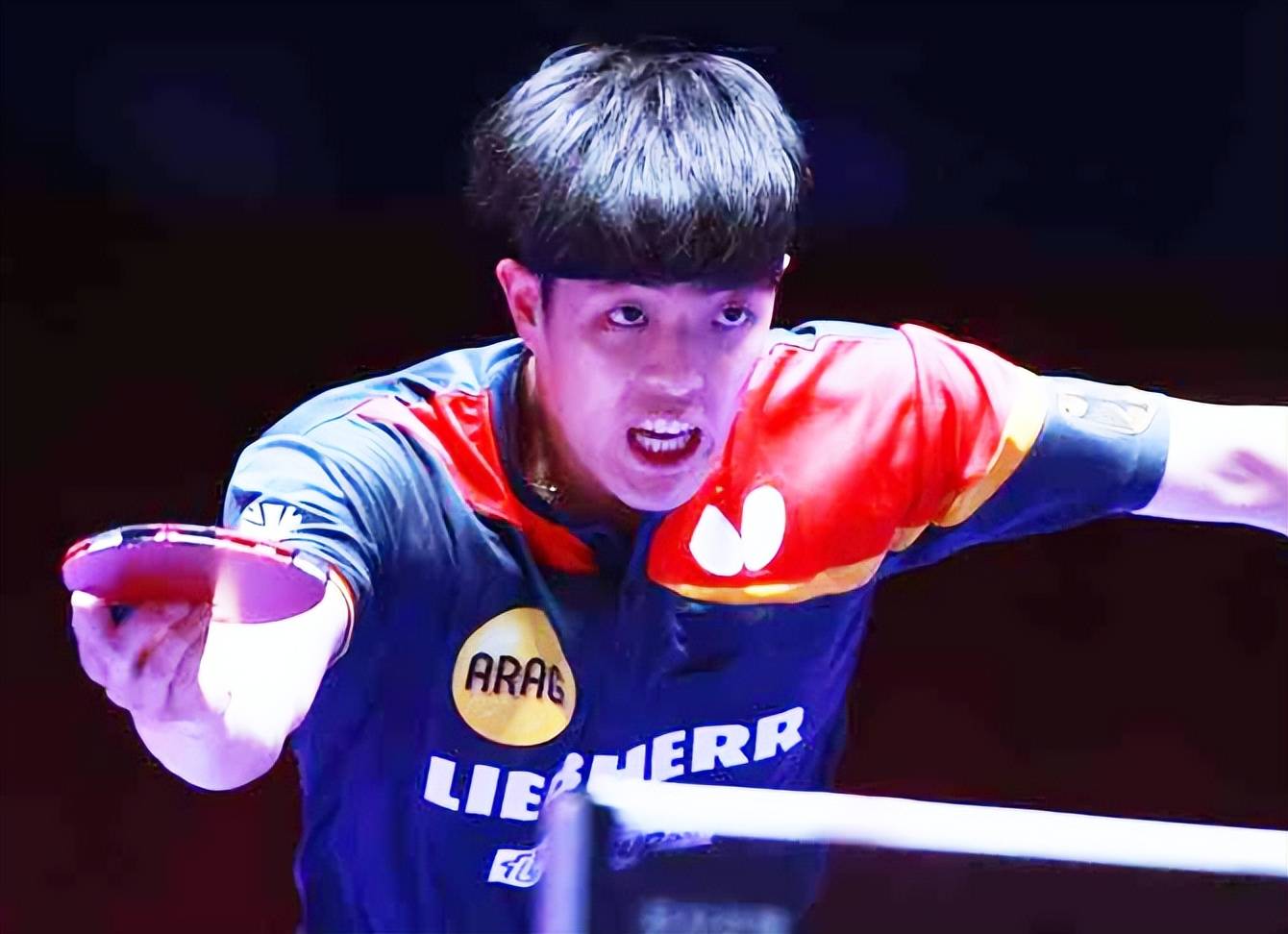 包含韩国乒乓球队碾压比利时乒乓球队，波尔高光表现的词条