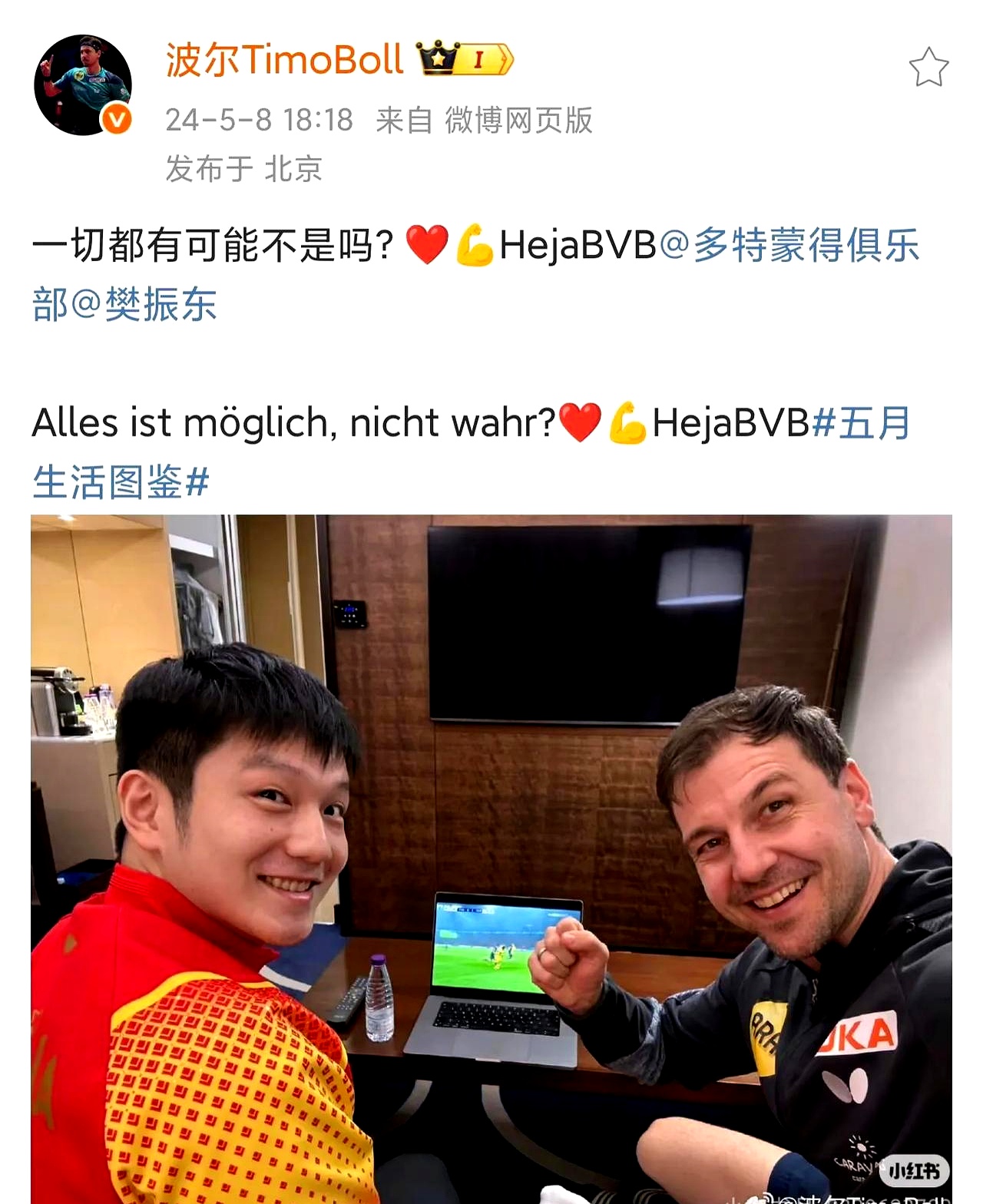 关于比利时乒乓球队鏖战韩国乒乓球队，波尔完成帽子戏法的信息