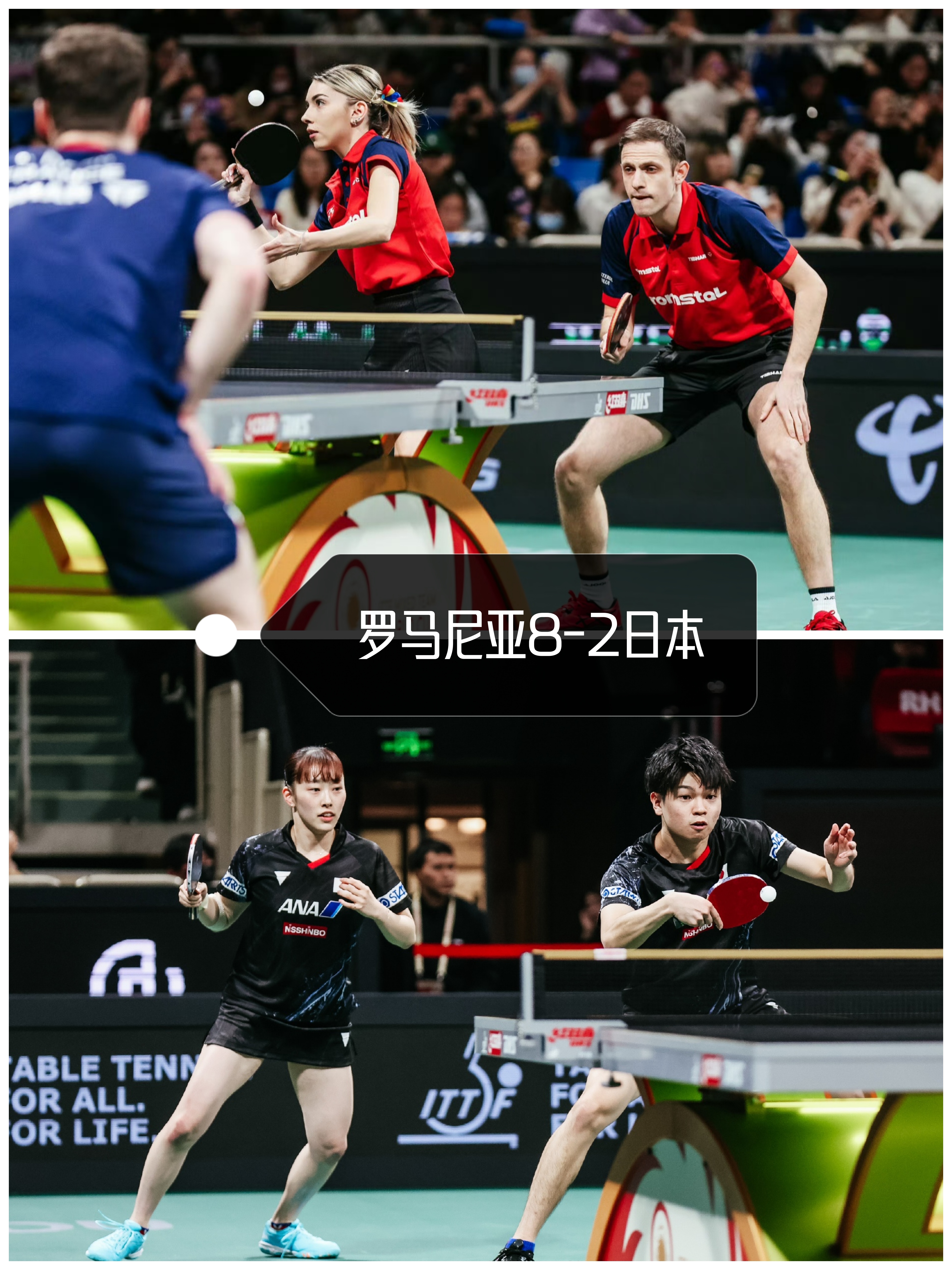 关于中国乒乓球队爆冷比利时乒乓球队,波尔统治全场的信息 关于中国乒乓球队爆冷比利时乒乓球队,波尔统治全场的信息