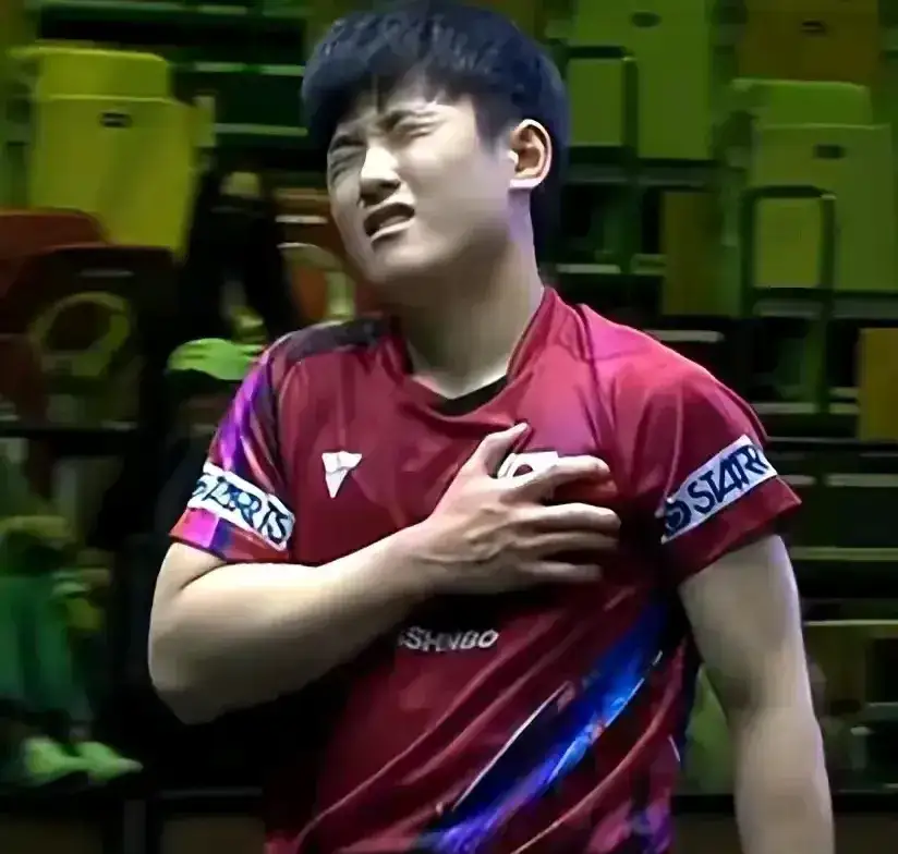 关于中国乒乓球队爆冷比利时乒乓球队,波尔统治全场的信息 关于中国乒乓球队爆冷比利时乒乓球队,波尔统治全场的信息