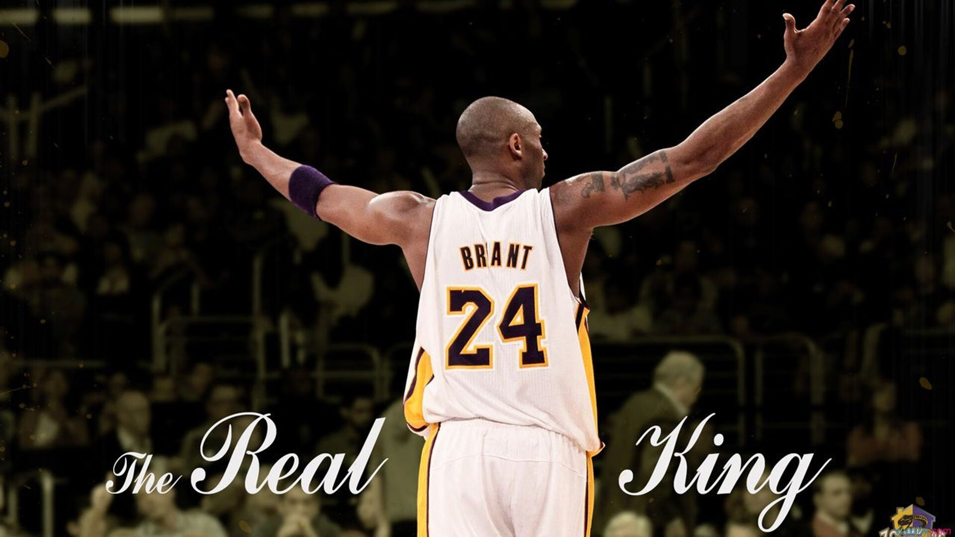 开云官方app入口-年度焦点之战之夜，克莱·汤普森，关键时刻的冰与火之歌