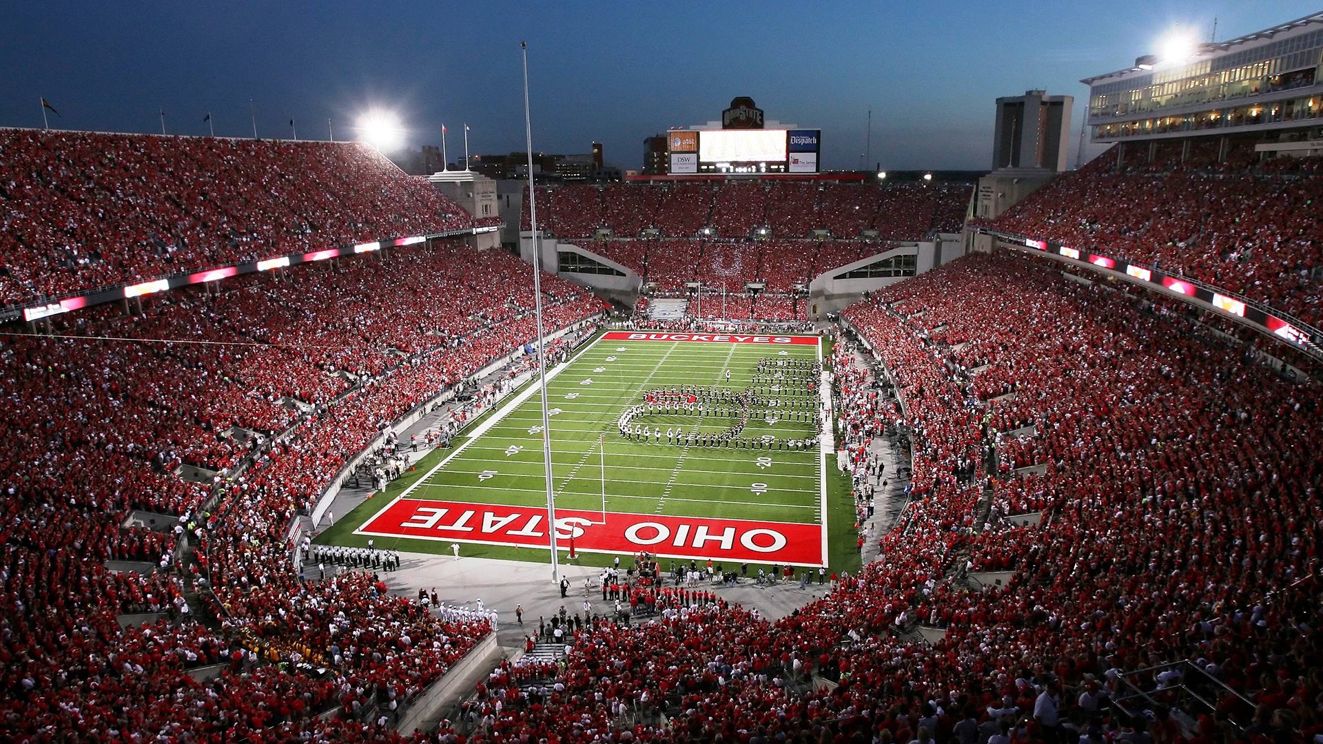 新大陆的郁金香战争，帕尔默如何成为美国鏪战荷兰的关键先生